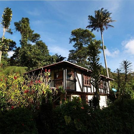 Claro De Luna Salento Ngoại thất bức ảnh